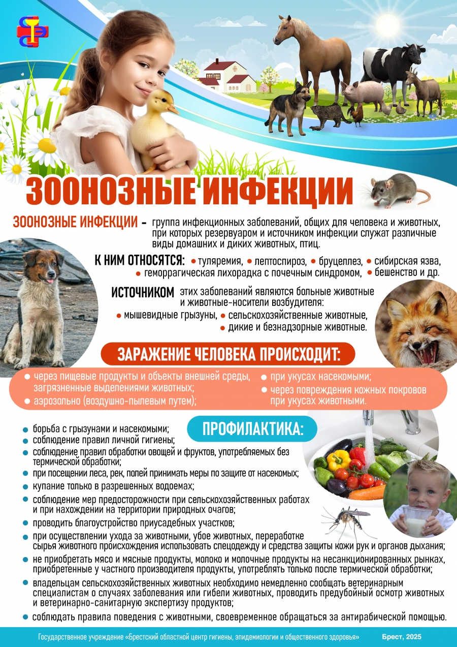 Профилактика зоонозных инфекций и бешенства